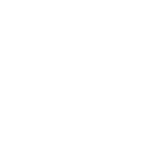 Likomotiva logo